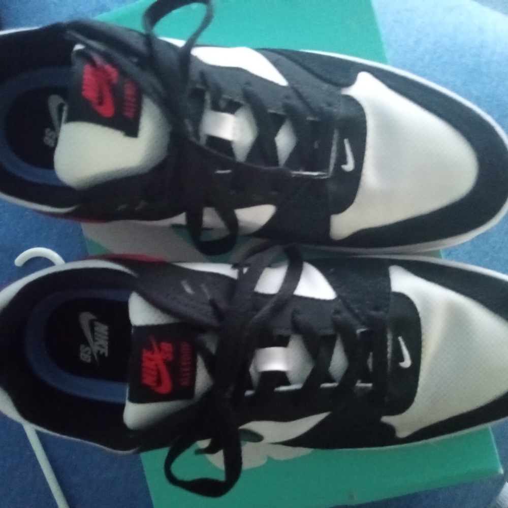 Nike SB
